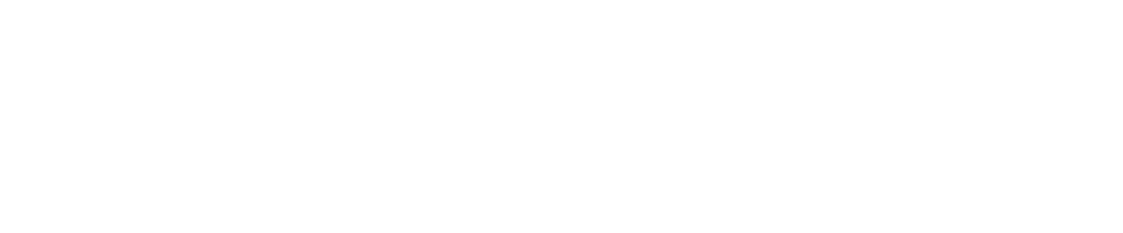 Service Management 1 logo-woocommerce-white